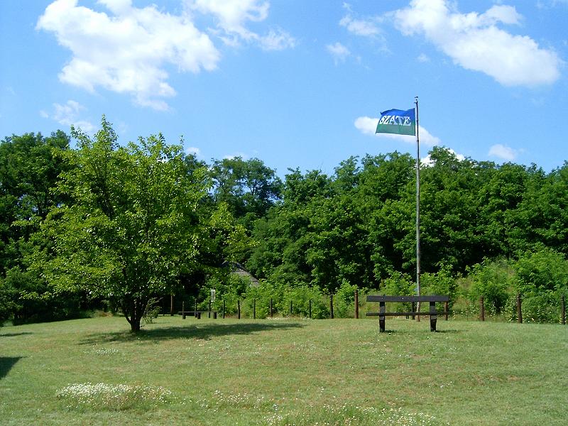 20100709 018.jpg